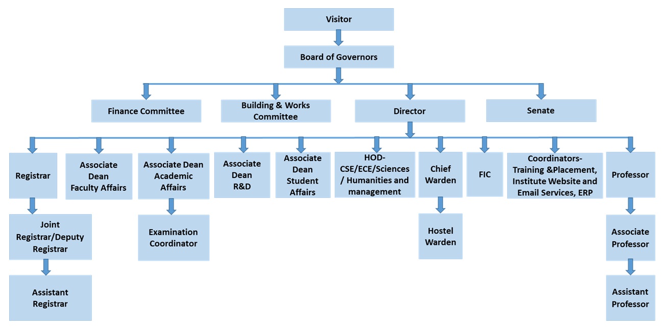Organizational Structure